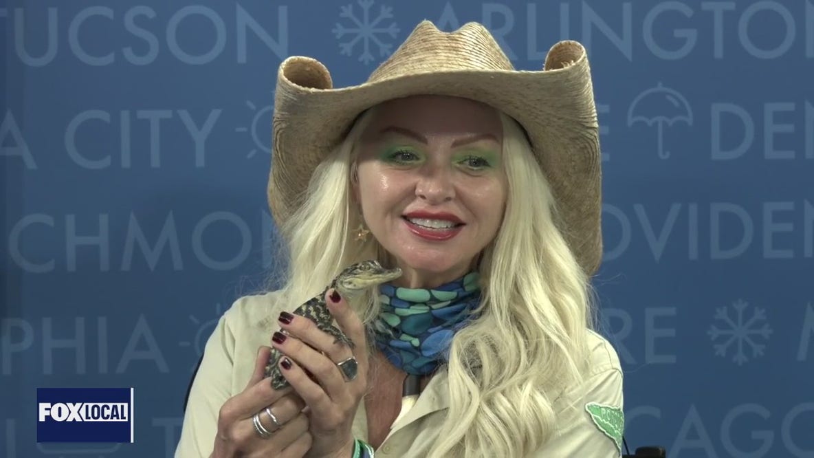 Baby alligator 'Jason' visits FOX 35 on Friday the 13th